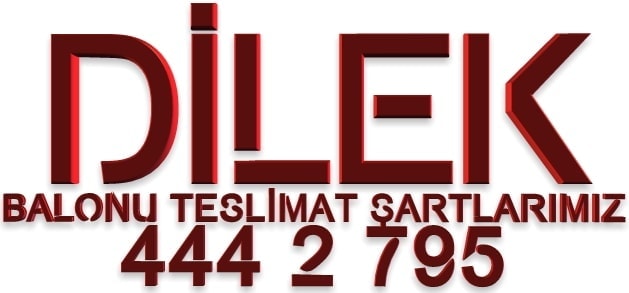 Dilek Balonu teslimat �artlar�m�z